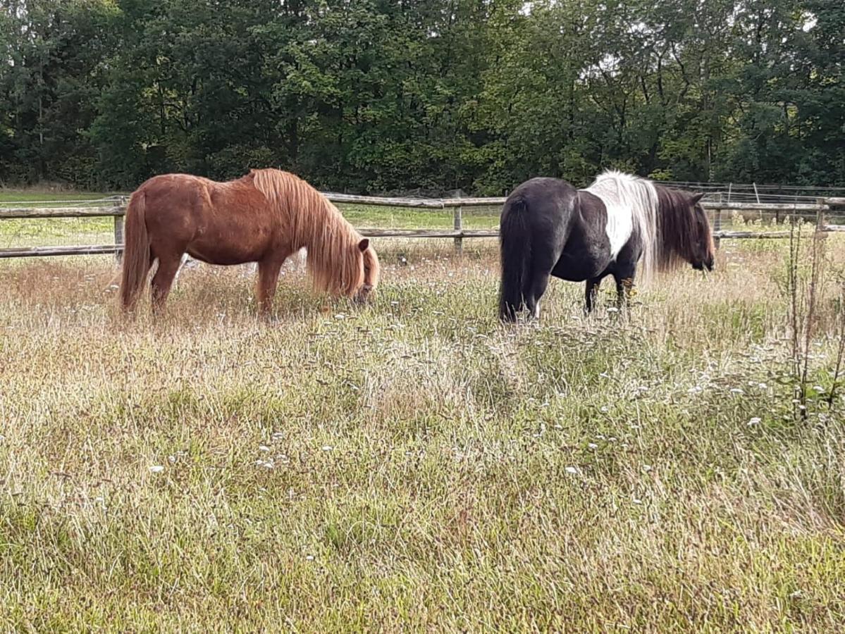Gaestezimmer Vermietung Reinstorf Reinstorf  Esterno foto